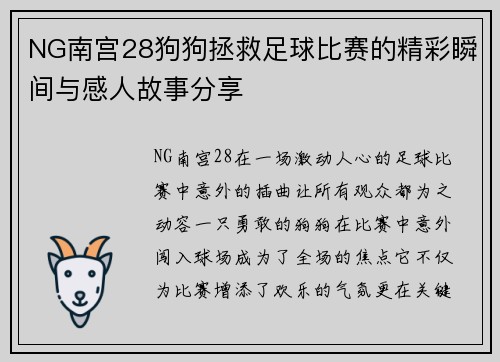 NG南宫28狗狗拯救足球比赛的精彩瞬间与感人故事分享