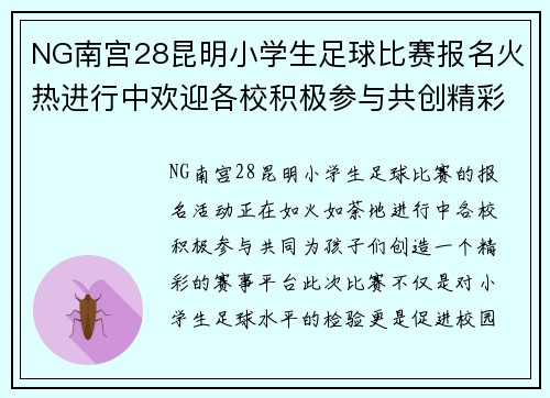 NG南宫28昆明小学生足球比赛报名火热进行中欢迎各校积极参与共创精彩赛事